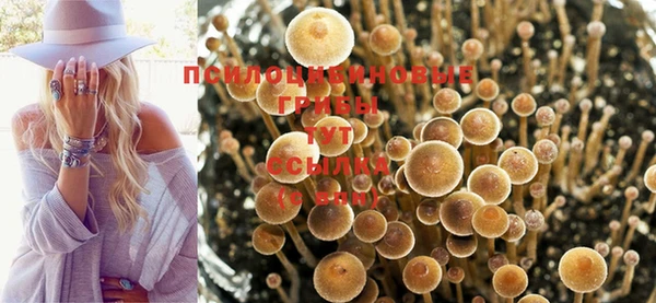 МДМА Лиски