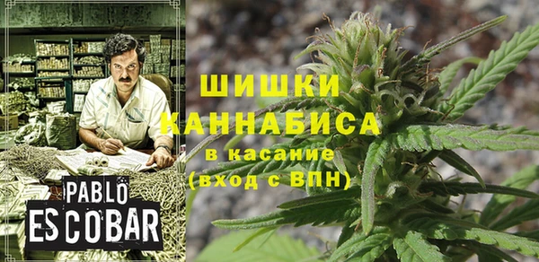 дмт Липки