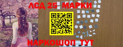 крисы Шебекино