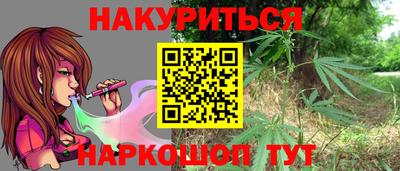 крисы Шебекино