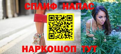 индика Шахты