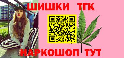 индика Шахты
