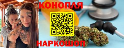 сатива Шелехов