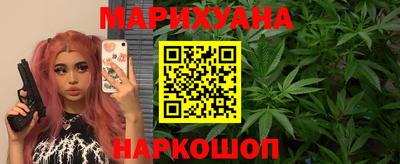 крисы Шебекино
