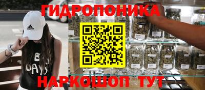 сатива Шелехов