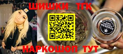 крисы Шебекино