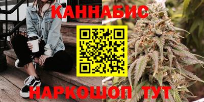 крисы Шебекино