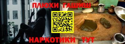 крисы Шебекино