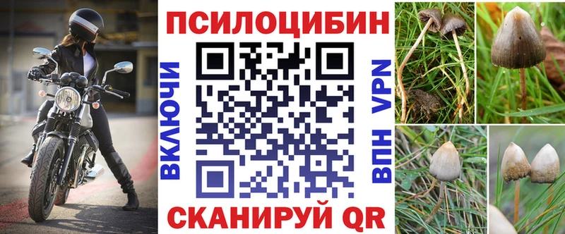 наркота  блэк спрут зеркало  Псилоцибиновые грибы ЛСД  Волжский 