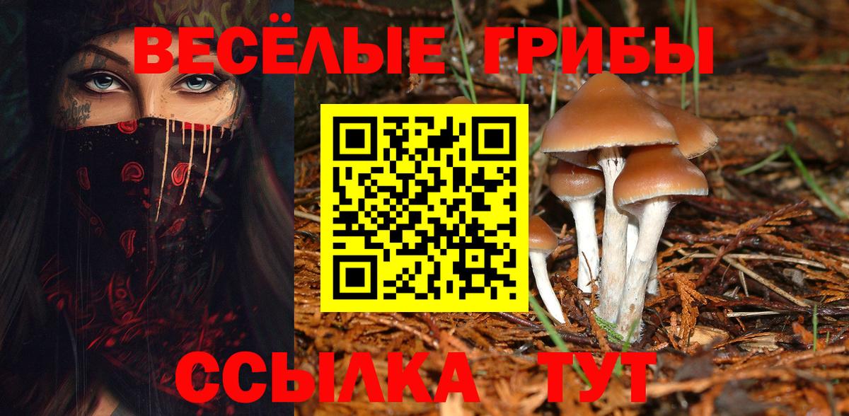 Волжский  Галлюциногенные грибы MAGIC MUSHROOMS  Вход с VPN 