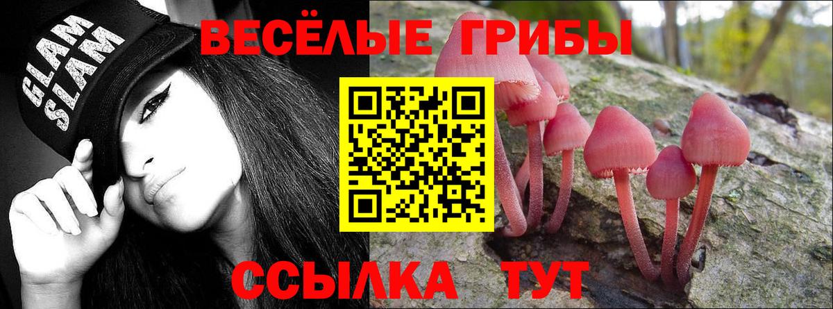 Галлюциногенные грибы мицелий Волжский